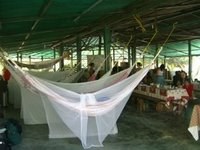 The Bernal Tours Campsite