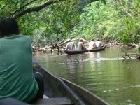 On the Bura Bura River