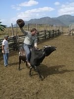 Steve Riding a Bull