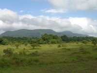 Jungle Mountains