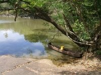 A Little Picnic Spot