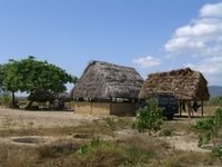 Happy Days Ranch - My Quarters