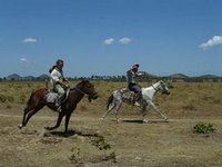 Racing Around the Corral