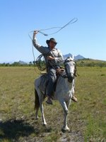 Vaquero Visions / Cowboy Dreams