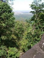 View From Quagamera Falls