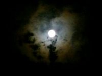 The Moon