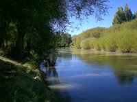 River Bank in Gaiman