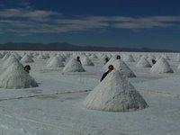 Salt Mounds