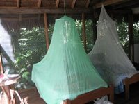 Our Jungle Hut